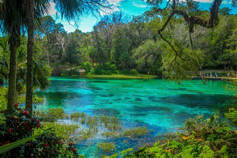 Live Streaming HD Webcam of Blue Spring State Park, USA